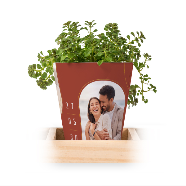 Flowerpot (Set of 3)