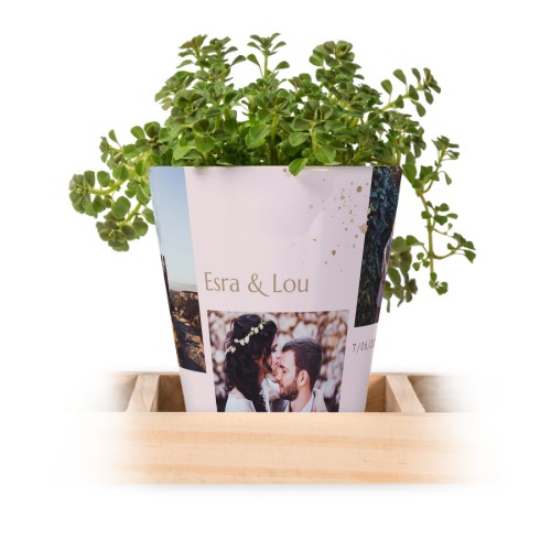 Gold Sparkles Party Gold Sparkles Party