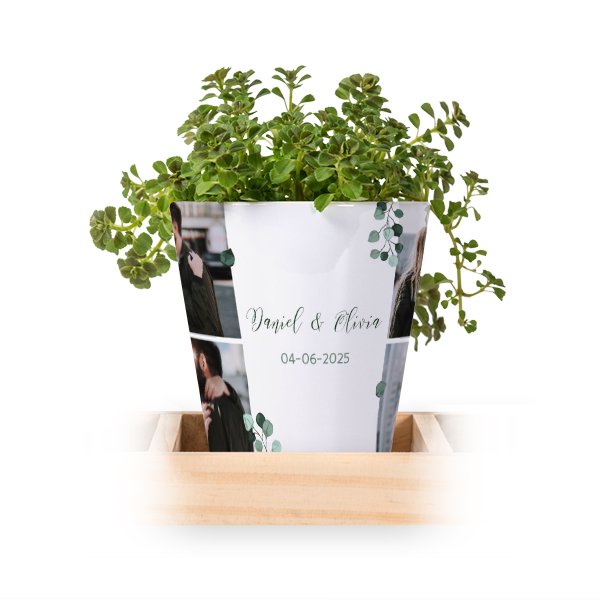 Lot de 3 pots avec plateau