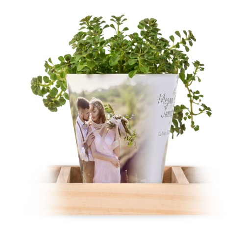 Lot de 3 pots avec plateau