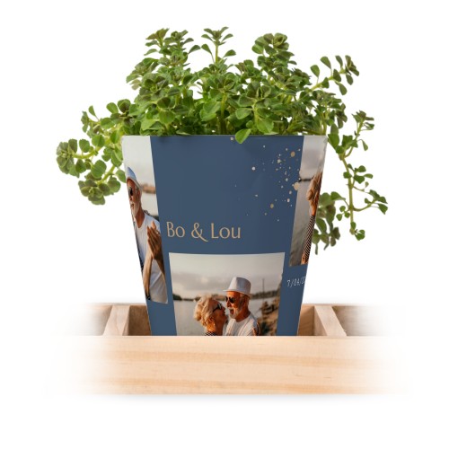 Gold Sparkles Party Gold Sparkles Party