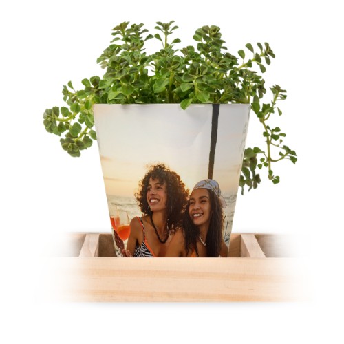 Blumentopf (3er Set) Blumentopf (3er Set)