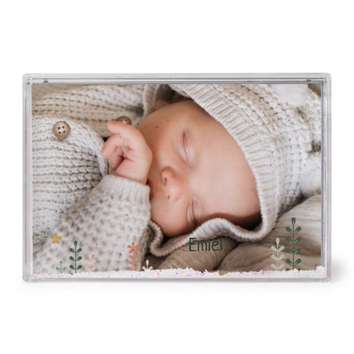 SpringFlowerField SpringFlowerField