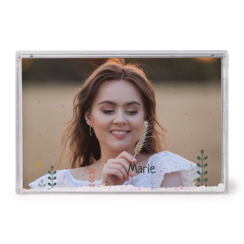 SpringFlowerField SpringFlowerField