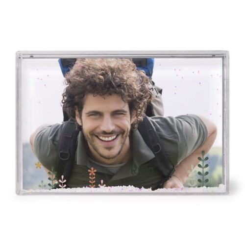 SpringFlowerField SpringFlowerField