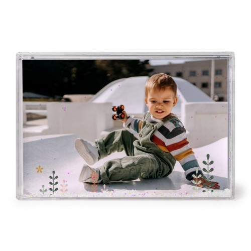 SpringFlowerField SpringFlowerField