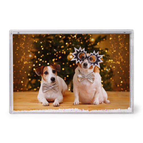 Photo Only Photo Only