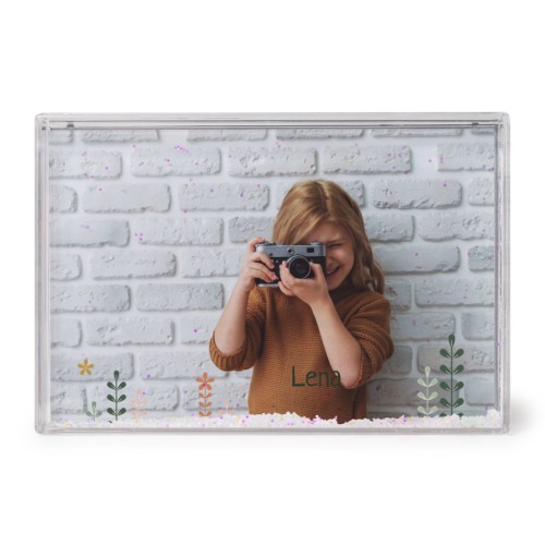 SpringFlowerField SpringFlowerField