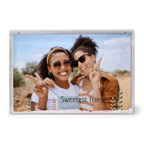 FrameSparklingH_SpringFlowerField