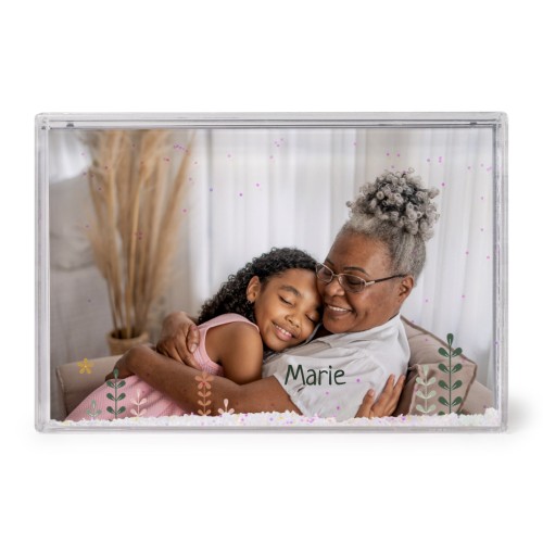 FrameSparklingH_SpringFlowerField