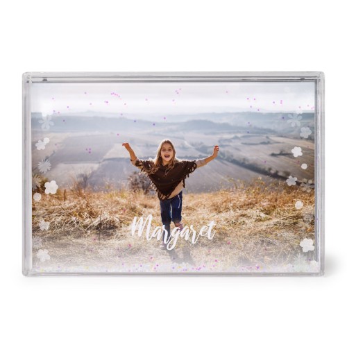 PhotographLightsFlowers PhotographLightsFlowers