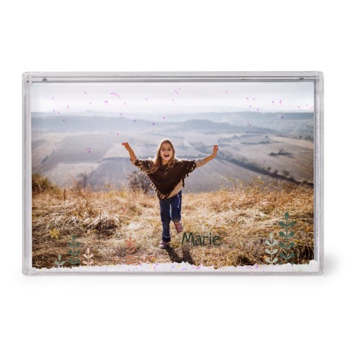 SpringFlowerField SpringFlowerField