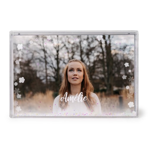 PhotographLightsFlowers PhotographLightsFlowers