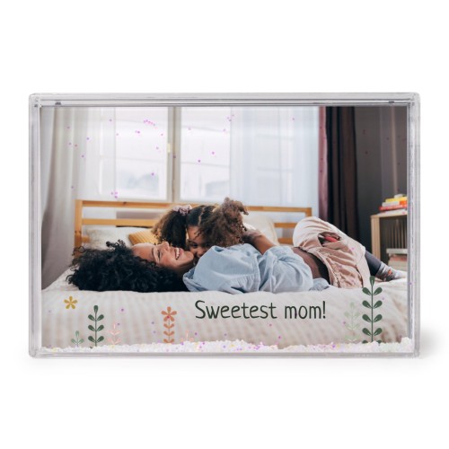 SpringFlowerField SpringFlowerField