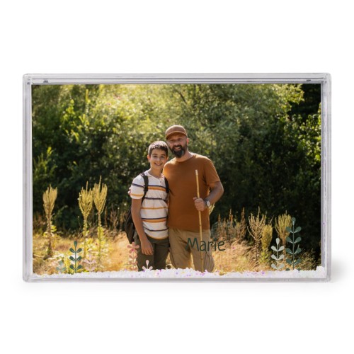 SpringFlowerField SpringFlowerField