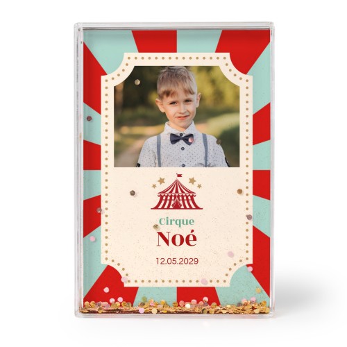 Circus Ticket Circus Ticket