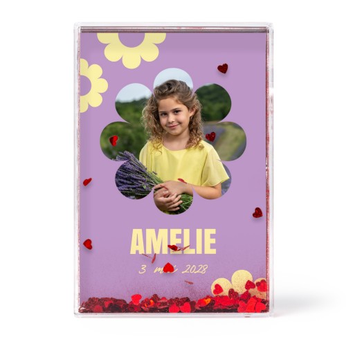 Daisy Shape Daisy Shape