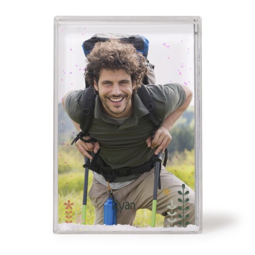 SpringFlowerField SpringFlowerField