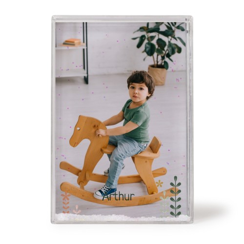 SpringFlowerField SpringFlowerField