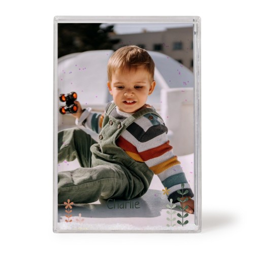 SpringFlowerField SpringFlowerField