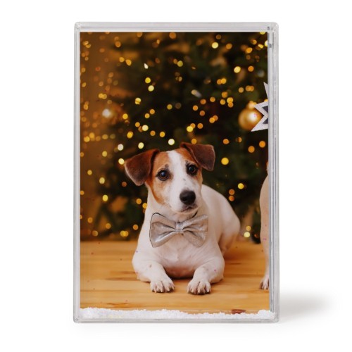 Photo Only Photo Only