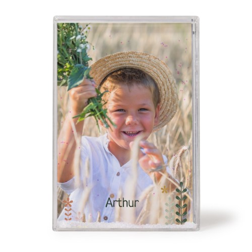 SpringFlowerField SpringFlowerField