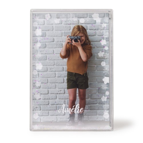 PhotographLightsFlowers PhotographLightsFlowers