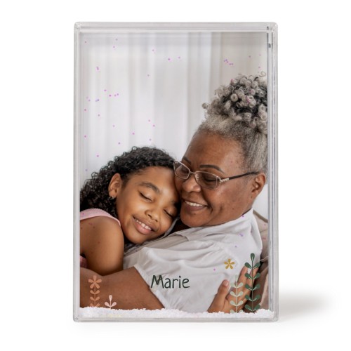 SpringFlowerField SpringFlowerField