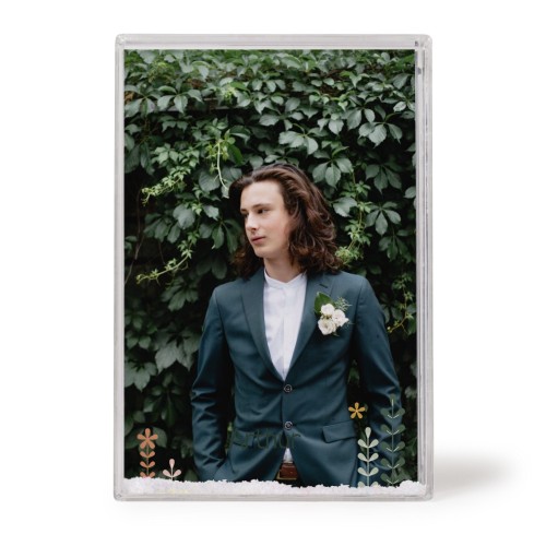 SpringFlowerField SpringFlowerField