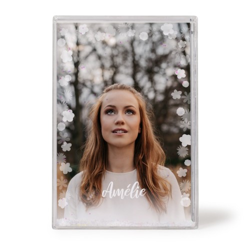 PhotographLightsFlowers PhotographLightsFlowers