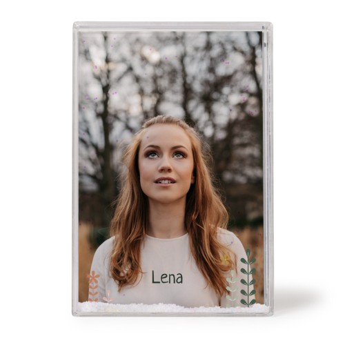 SpringFlowerField SpringFlowerField