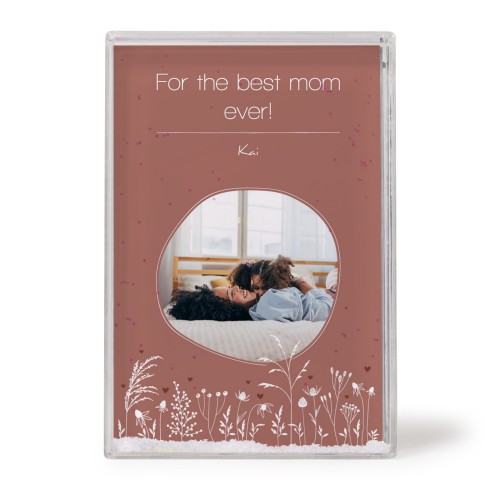 Silhouette Flowers Silhouette Flowers