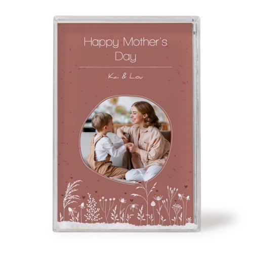 Silhouette Flowers Silhouette Flowers