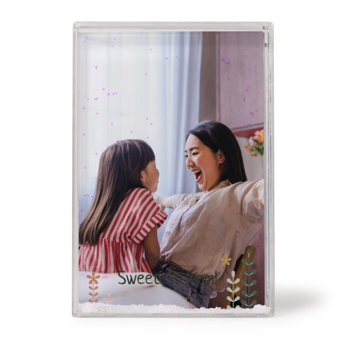 SpringFlowerField SpringFlowerField