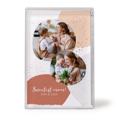 Spring Love Spring Love