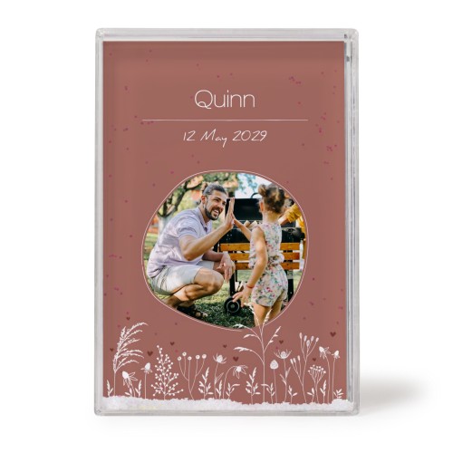 Silhouette Flowers Silhouette Flowers