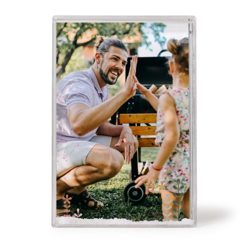 SpringFlowerField SpringFlowerField