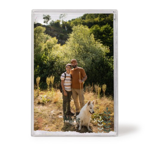 SpringFlowerField SpringFlowerField