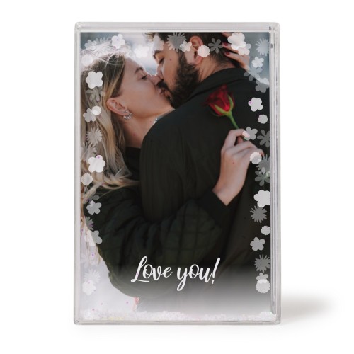 PhotographLightsFlowers PhotographLightsFlowers