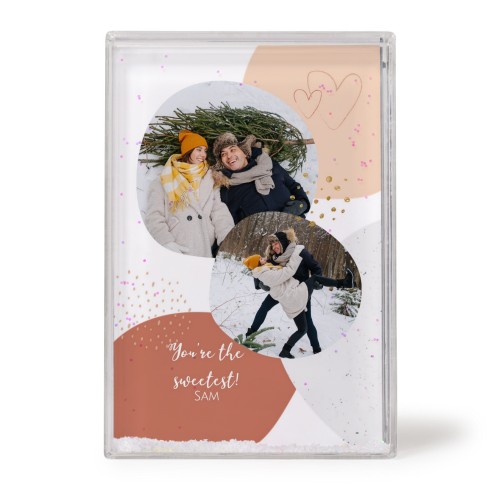 Spring Love Spring Love