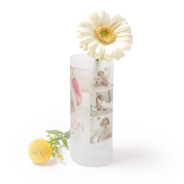 Frosted Glass Vase