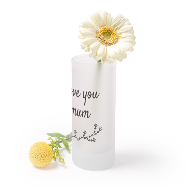 Frosted Glass Vase