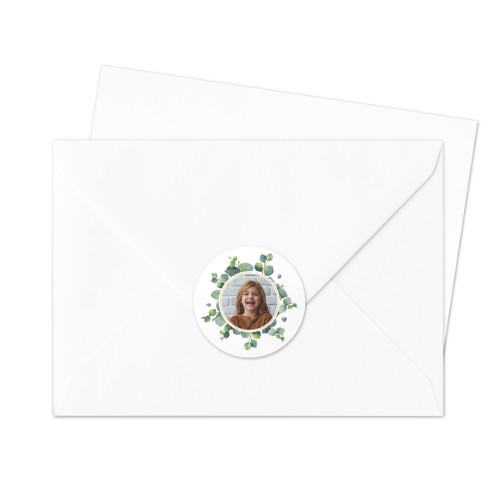 Eucalyptus Leaves Eucalyptus Leaves