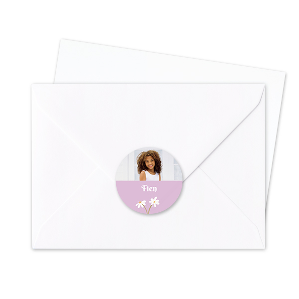 SpringFlowerDaisy SpringFlowerDaisy