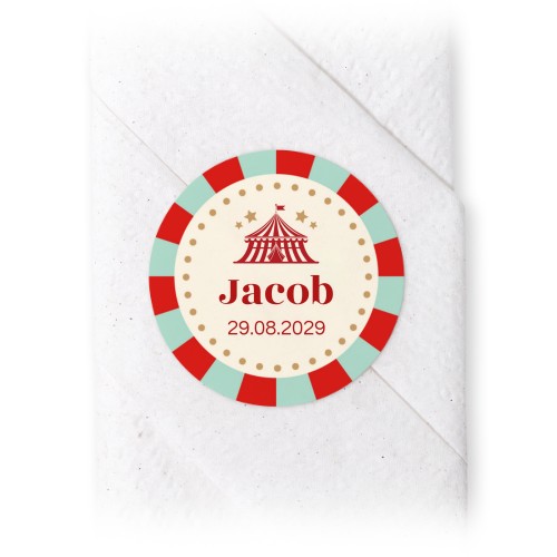 Circus Ticket Circus Ticket