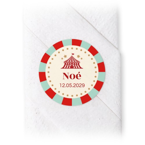 Circus Ticket Circus Ticket