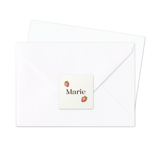 Sluitsticker Vierkant (set van 24)