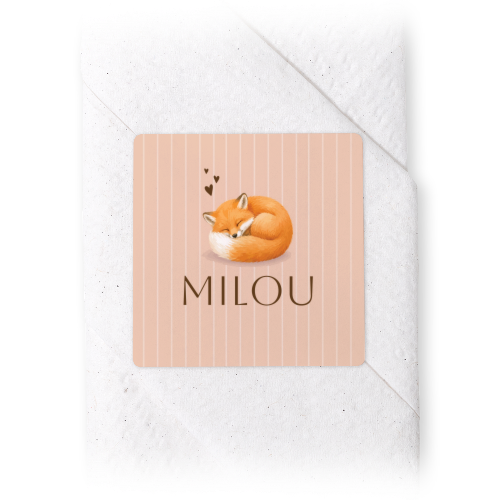 Cute Fox Stripes