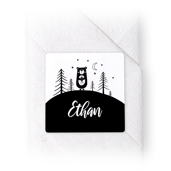 PlanetBearTO PlanetBearTO