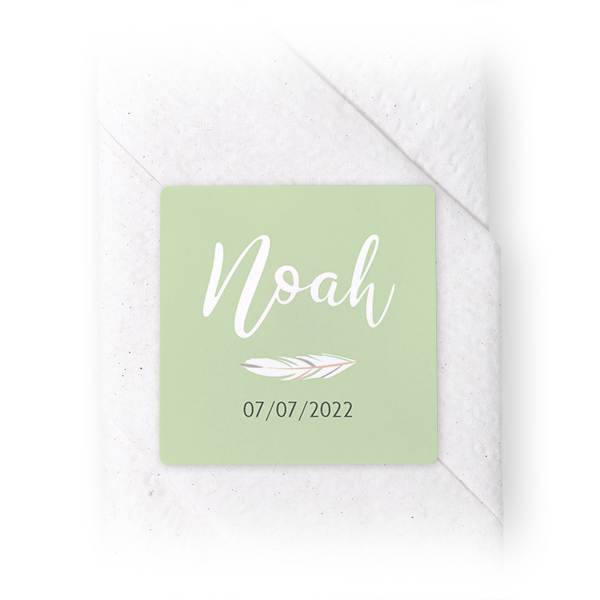 RaccoonArrowTO RaccoonArrowTO